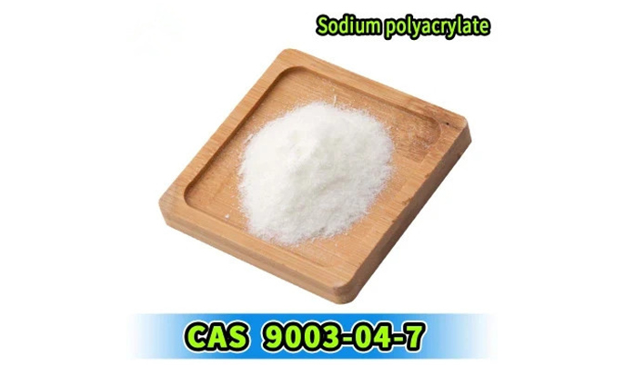 The World Market for Super Absorbent Polymers 2025-2033